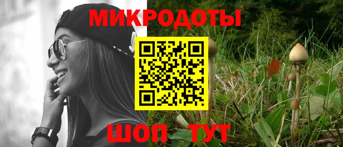 Галлюциногенные грибы Magic Shrooms  Галлюциногенные грибы Psilocybe  Вход с VPN  Кольчугино 