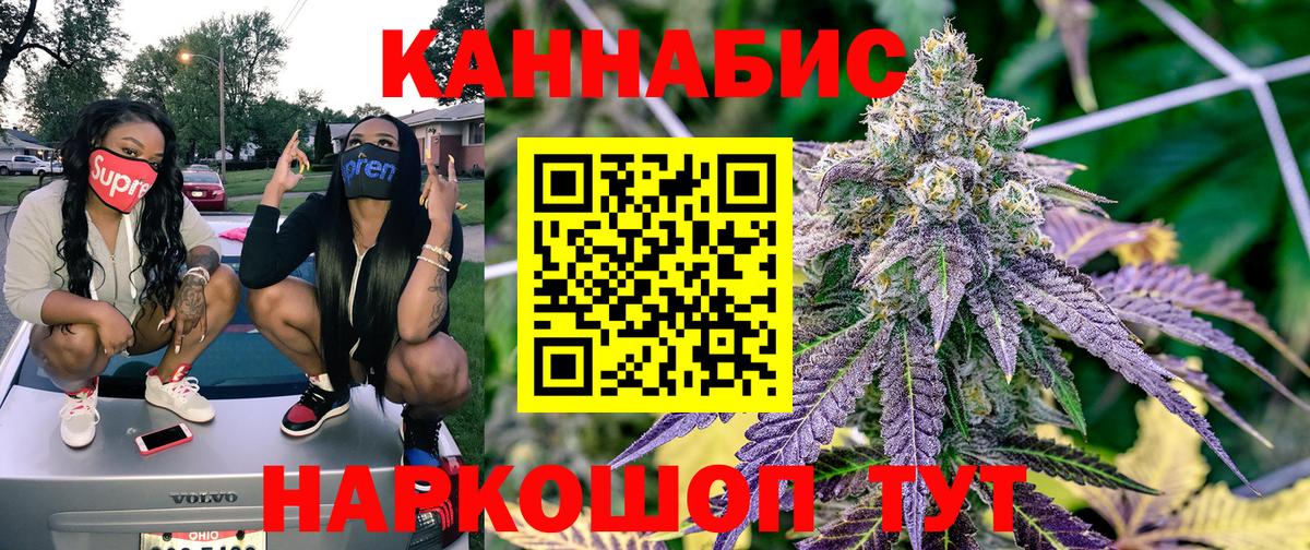 Шишки марихуана VHQ  МАРИХУАНА ГИДРОПОН  Вход с VPN  Кольчугино  МАРИХУАНА сатива 